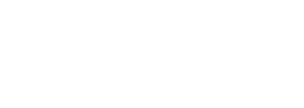 Leading IT Company in Indiana